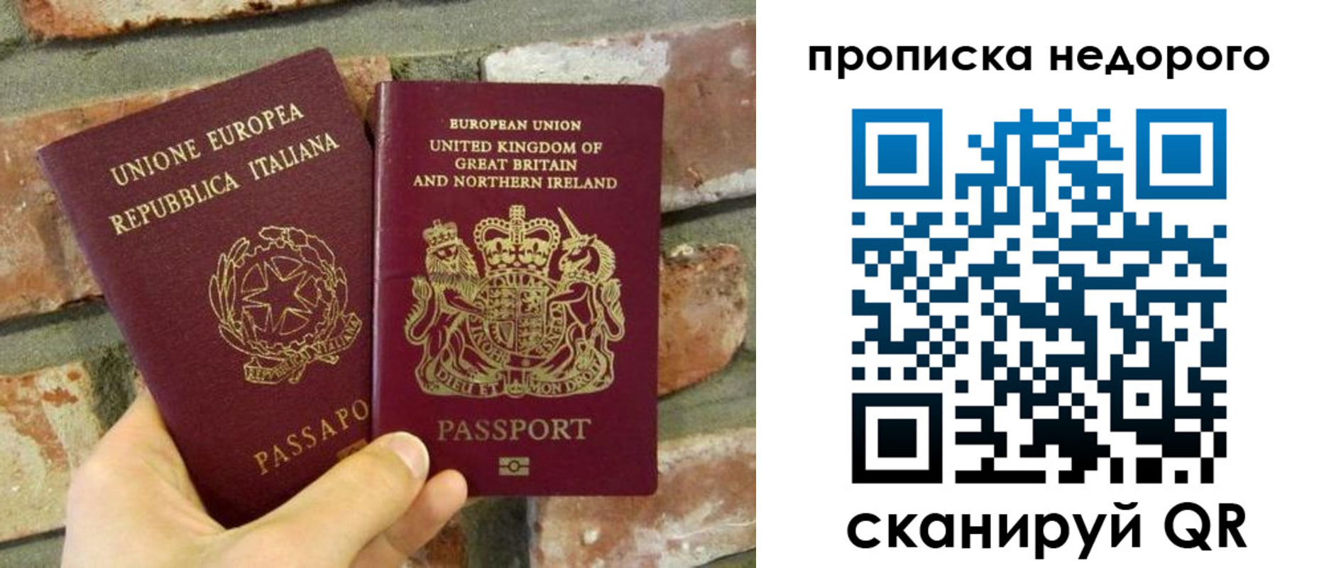 прописка поиск в Сельцо